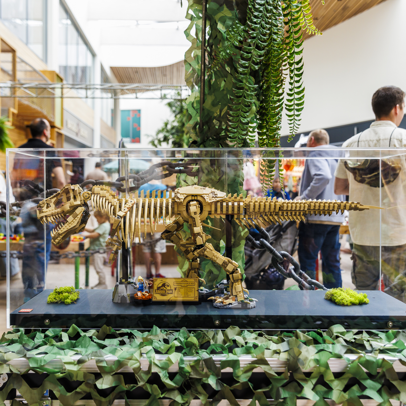 Dino Event - Afbeelding 6